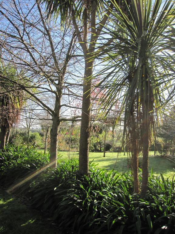 Bed and Breakfast Thyme Out Estate Halcombe Exterior foto
